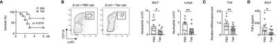 Pleural Resident Macrophages and Pleural IRA B Cells Promote Efficient Immunity Against Pneumonia by Inducing Early Pleural Space Inflammation